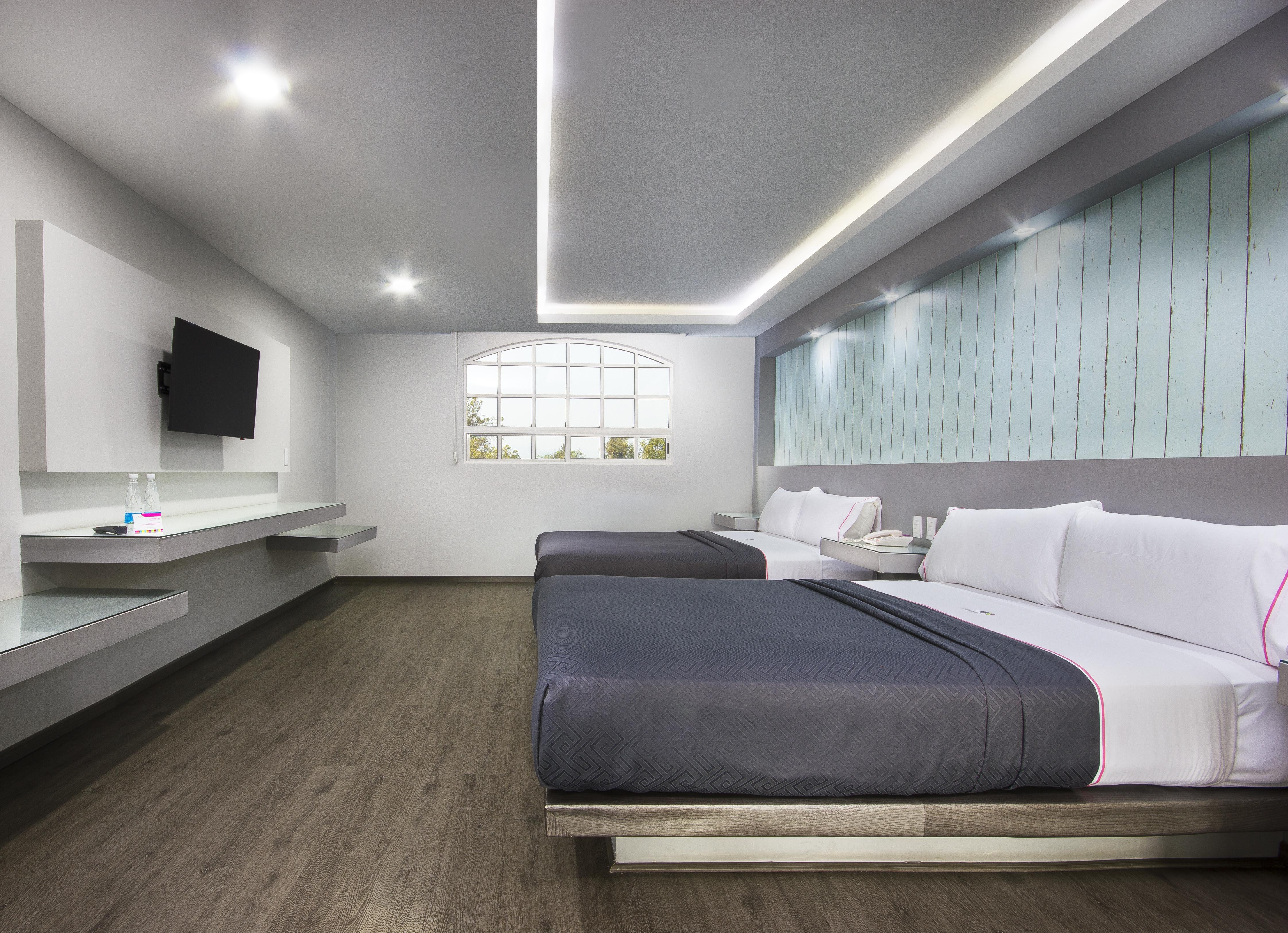 Hotel Mx Congreso Мехико Экстерьер фото