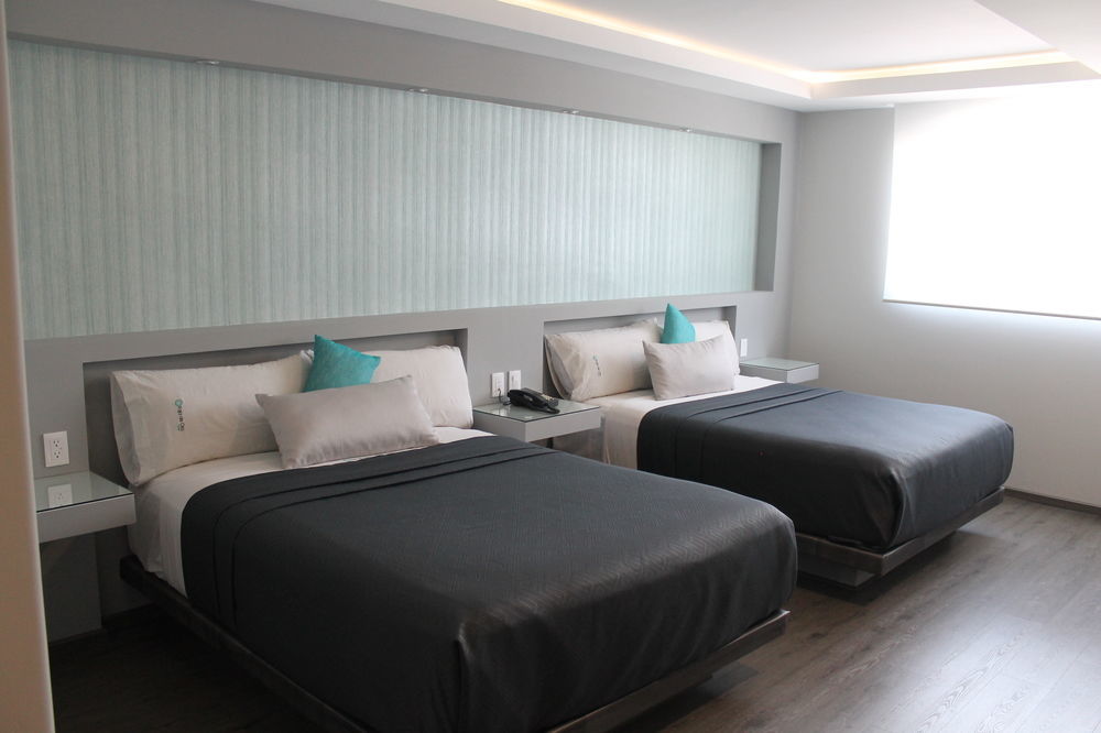 Hotel Mx Congreso Мехико Экстерьер фото